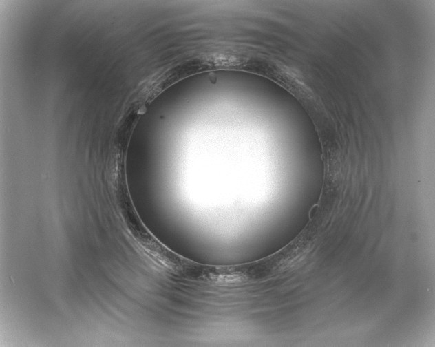 X0000066020645200603171533