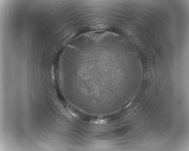 X0000066020647200603171533