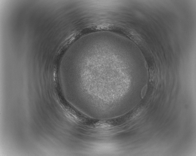 X0000066020648200603171533