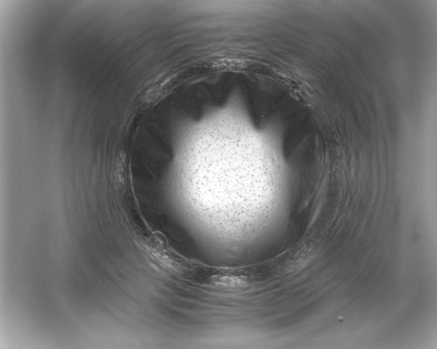 X0000066020649200603171533