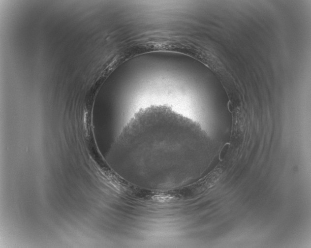 X0000066020650200603171533