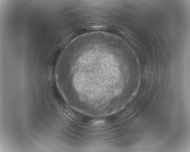 X0000066020651200603171533