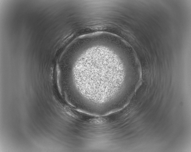 X0000066020652200603171533