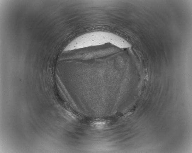 X0000066020653200603171533