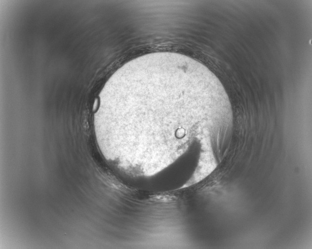 X0000066020654200603171533