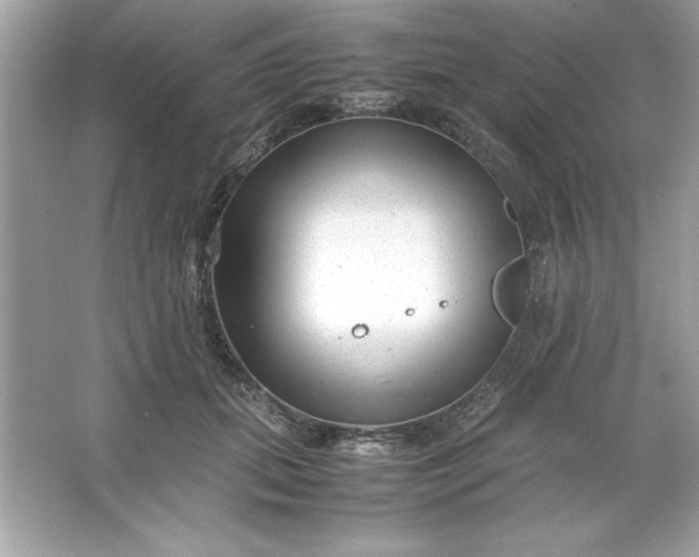 X0000066020655200603171533