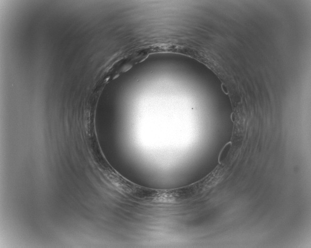 X0000066020656200603171533