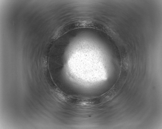 X0000066020657200603171533