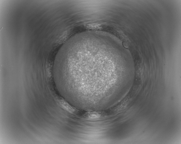 X0000066020658200603171533