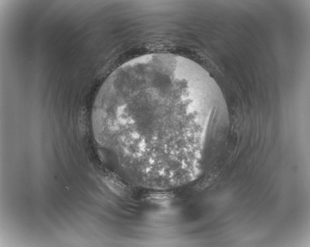 X0000066020659200603171533