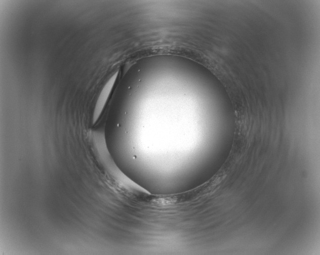 X0000066020660200603171533