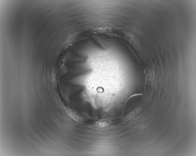 X0000066020662200603171533