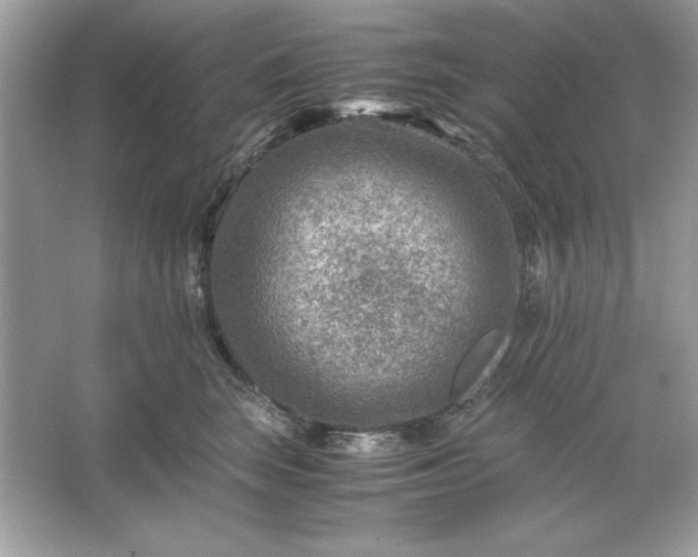 X0000066020663200603171533