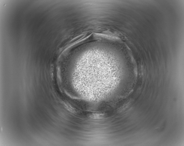 X0000066020664200603171533