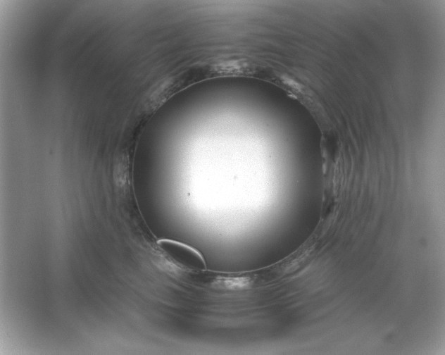 X0000066020665200603171533