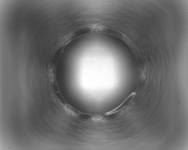 X0000066020666200603171533