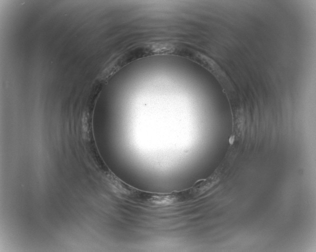 X0000066020667200603171533