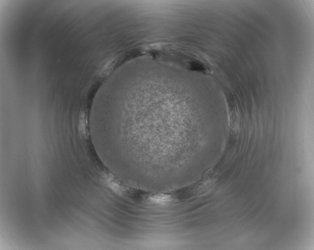 X0000066020669200603171533