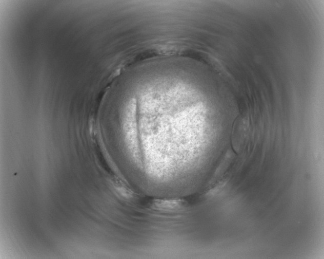 X0000066020671200603171533