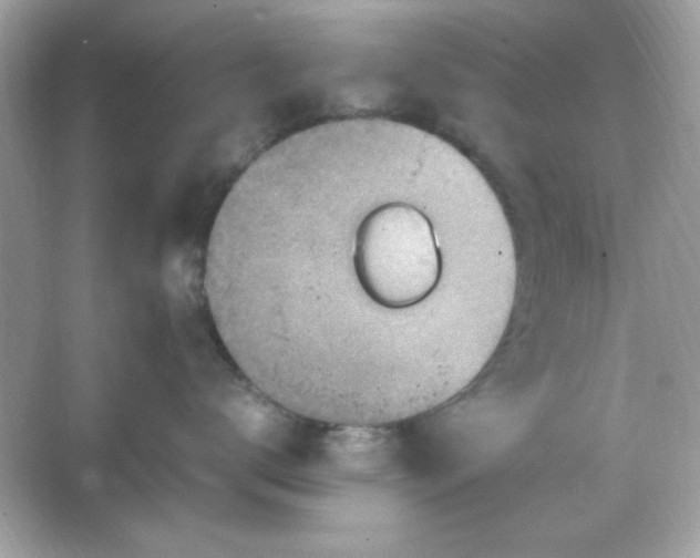 X0000066020672200603171533