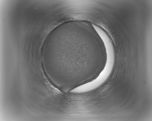 X0000066020673200603171532