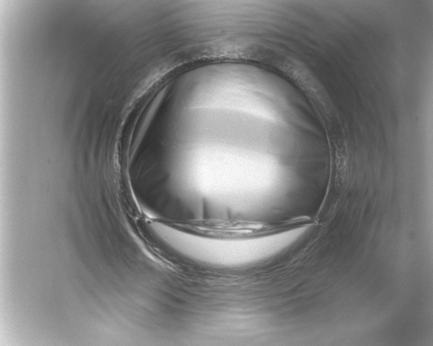 X0000066020674200603171532