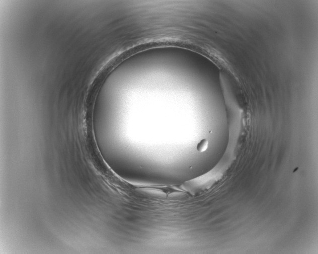 X0000066020676200603171532