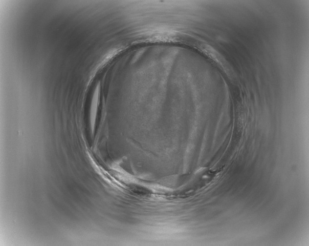 X0000066020677200603171532