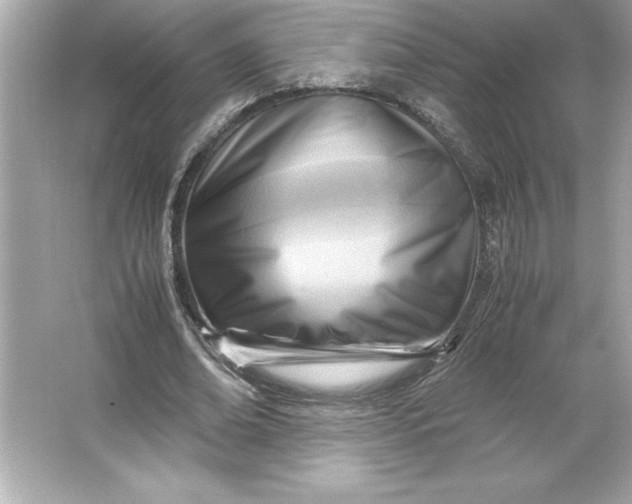 X0000066020678200603171532