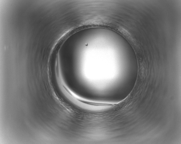 X0000066020680200603171532