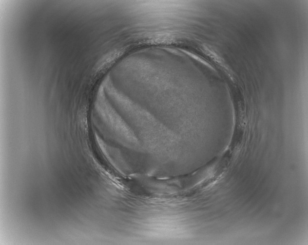 X0000066020681200603171532