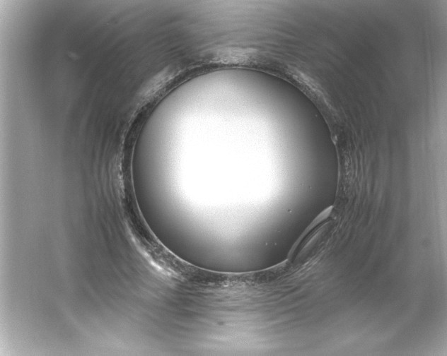 X0000066020682200603171532