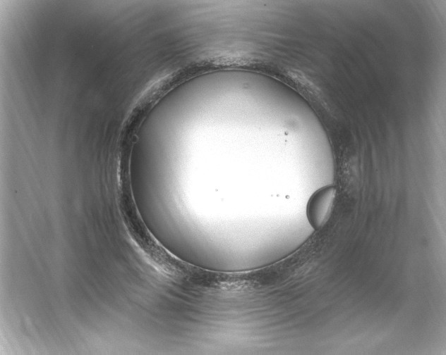 X0000066020686200603171532