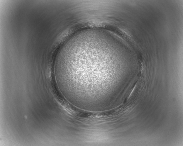 X0000066020687200603171532