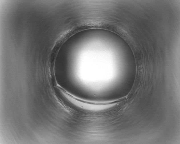 X0000066020688200603171532