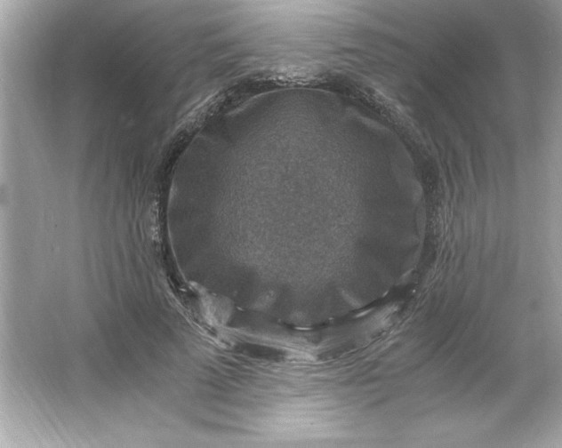 X0000066020689200603171532