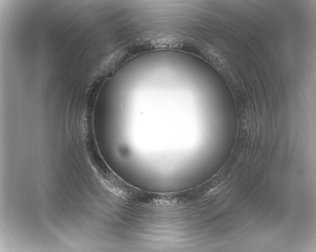 X0000066020690200603171532