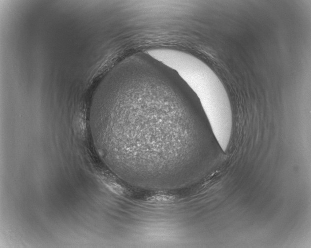 X0000066020691200603171532