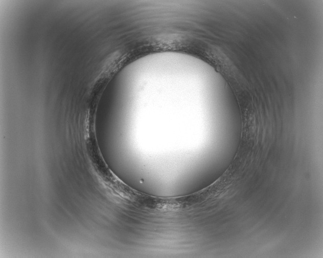 X0000066020694200603171532