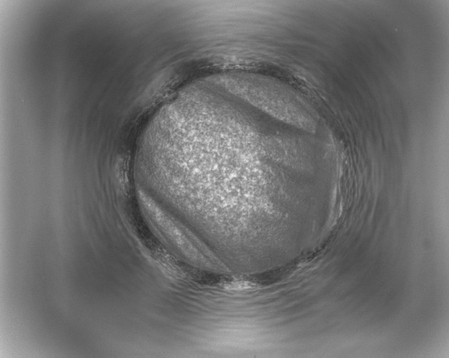 X0000066020695200603171532