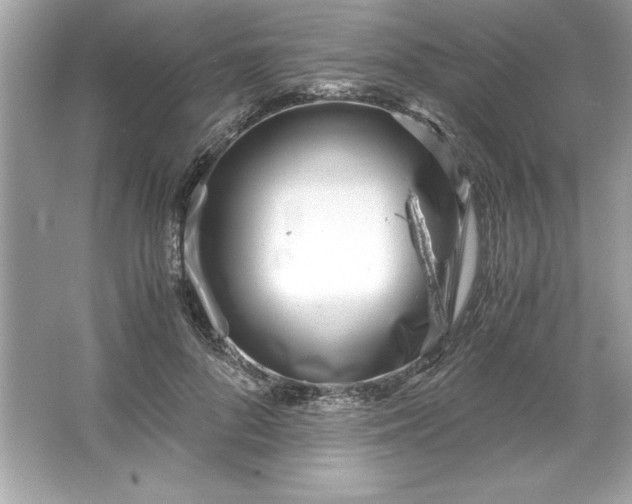 X0000066020696200603171532