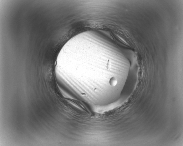 X0000066020697200603171532