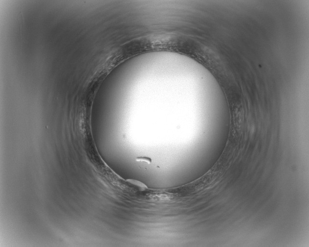 X0000066020698200603171532