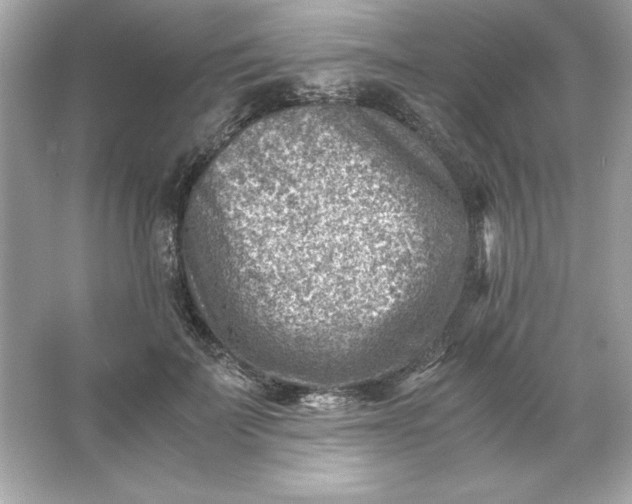 X0000066020699200603171532