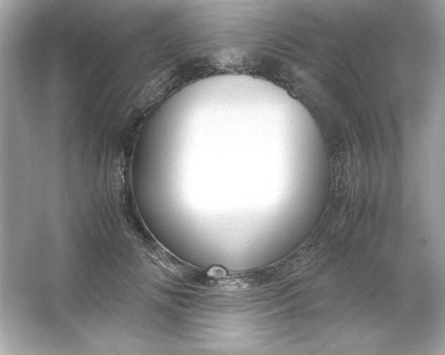 X0000066020702200603171532