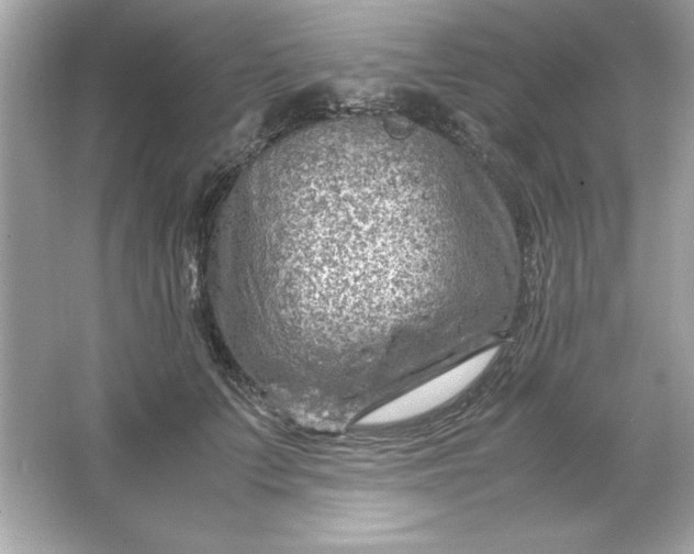 X0000066020703200603171532