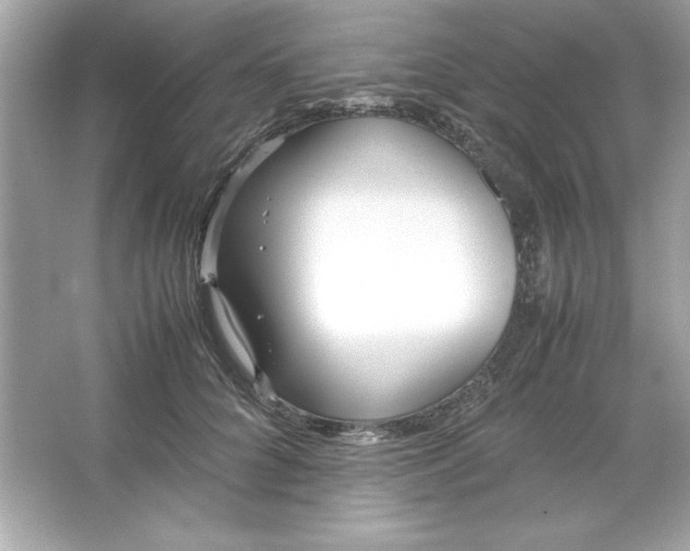 X0000066020704200603171532