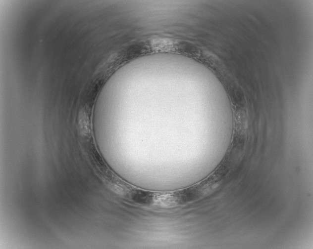 X0000066020705200603171532