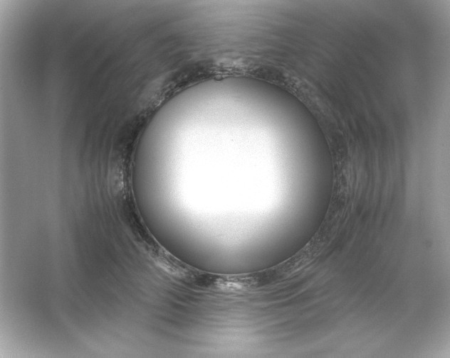 X0000066020706200603171532