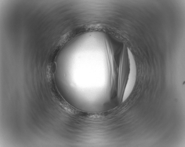 X0000066020708200603171532